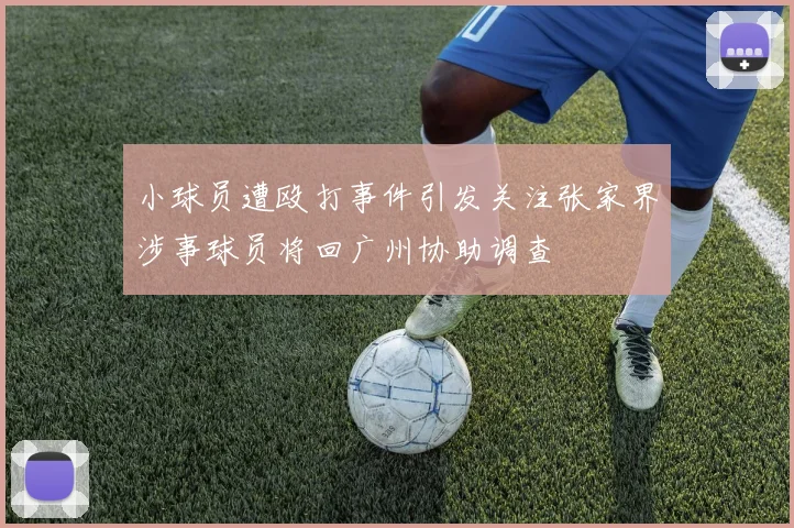小球员遭殴打事件引发关注张家界涉事球员将回广州协助调查
